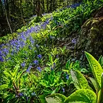 角比奇豪斯旅馆 招待所 4*