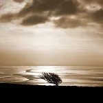 角比奇豪斯旅馆