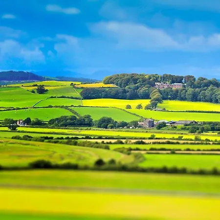 Affittacamere Corner Beech House 4*